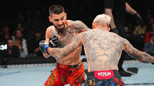 Live ставки на MMA