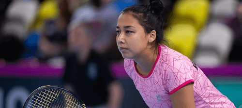 Вид спорта: теннис